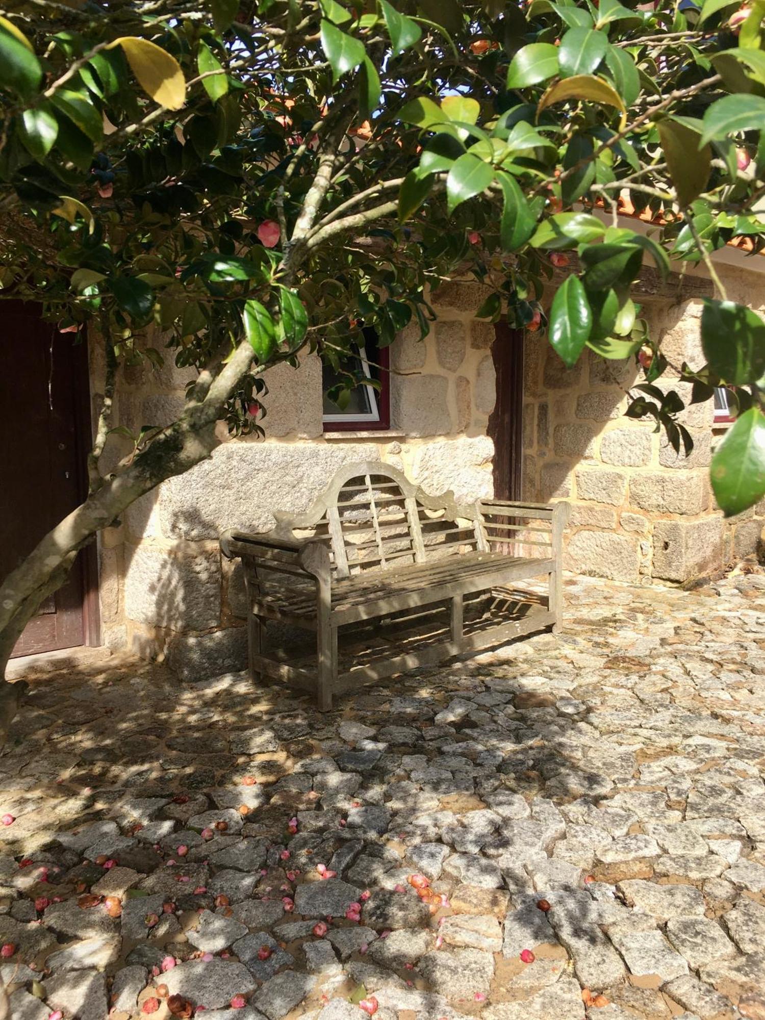 Quinta De Mocamedes - Turismo De Habitacao Hotel Vouzela Ngoại thất bức ảnh